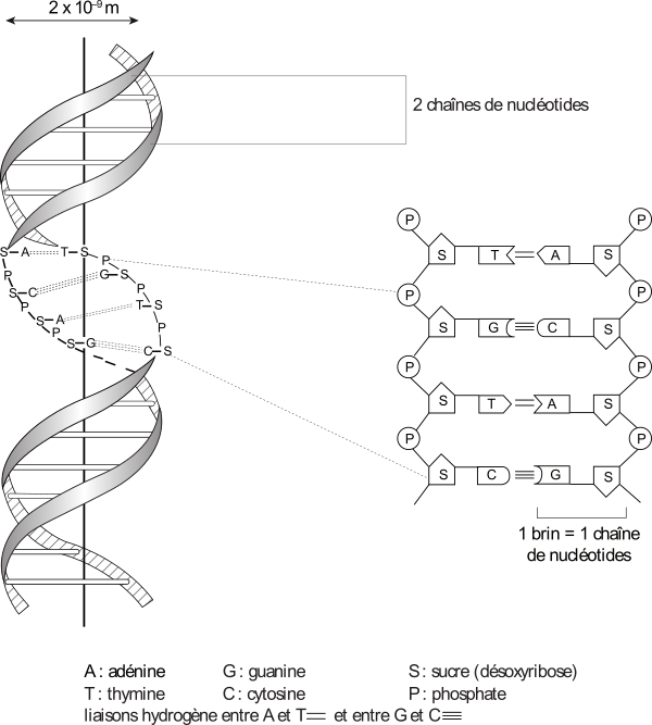 image10.png