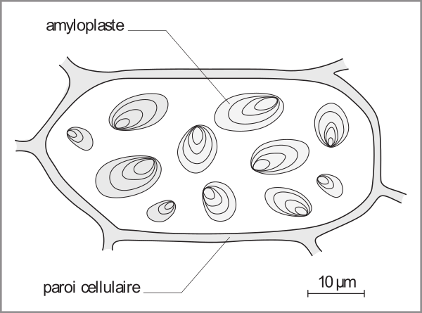 image23.png