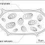 image23.png