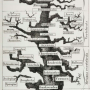 image25.png