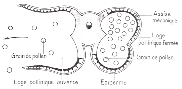 image26.png