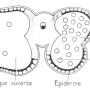 image26.png