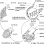 image27.png