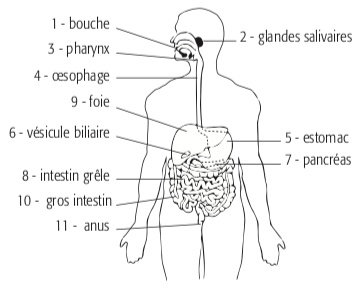image28.png