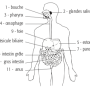 image28.png