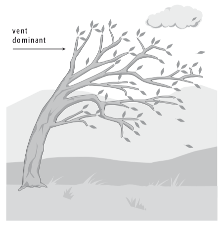 image4.png