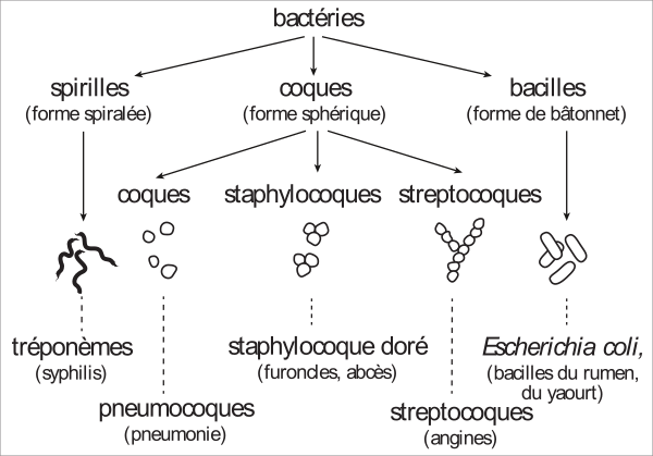 image1.png