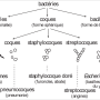 image1.png