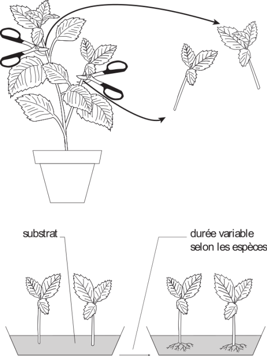 image9.png
