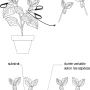 image9.png