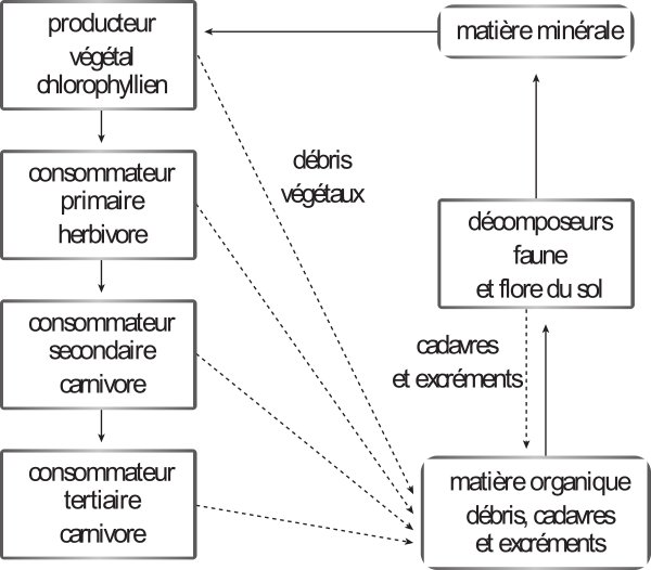 image01.png