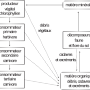 image01.png
