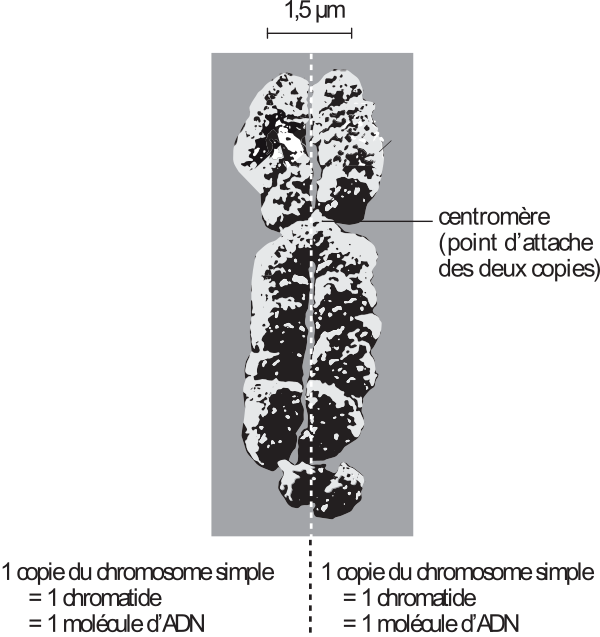 image11.png