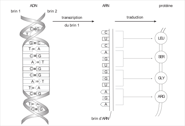 image12.png