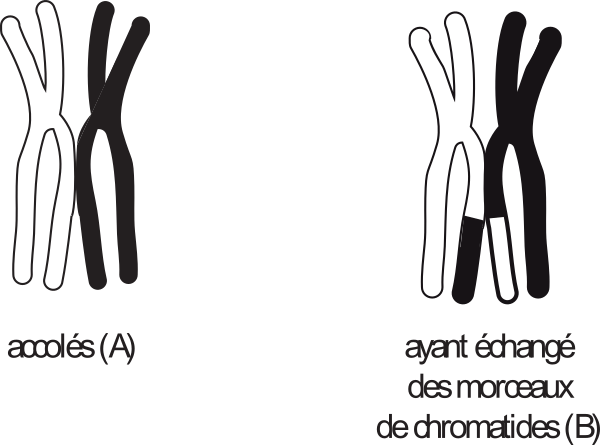 image19.png
