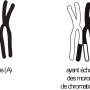 image19.png