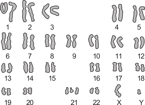 image2.png