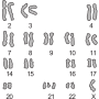 image2.png