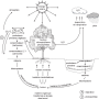 image20.png