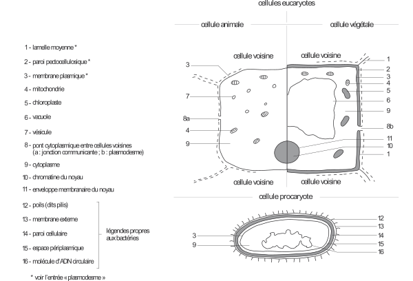 image4.png