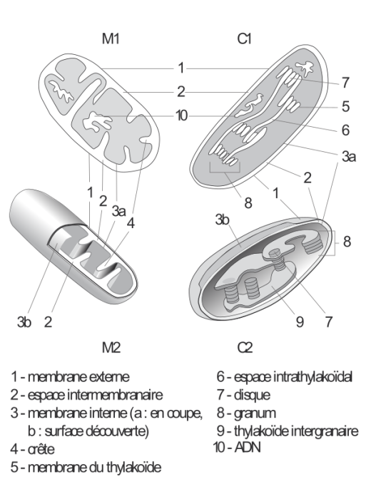 image5.png