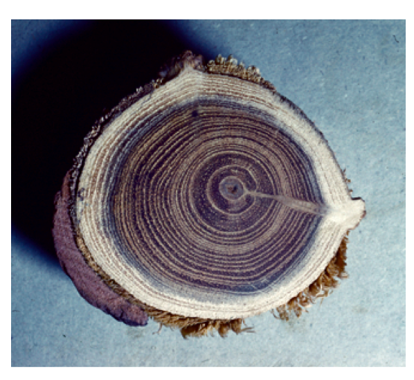 image7.png