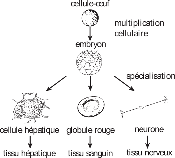 image5.png