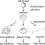 image5.png