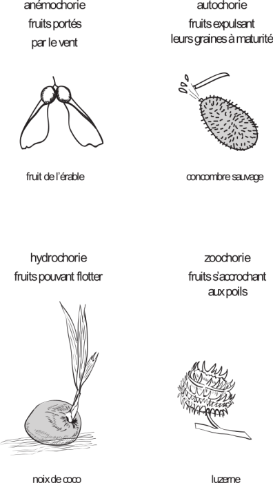 image6.png