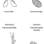 image6.png