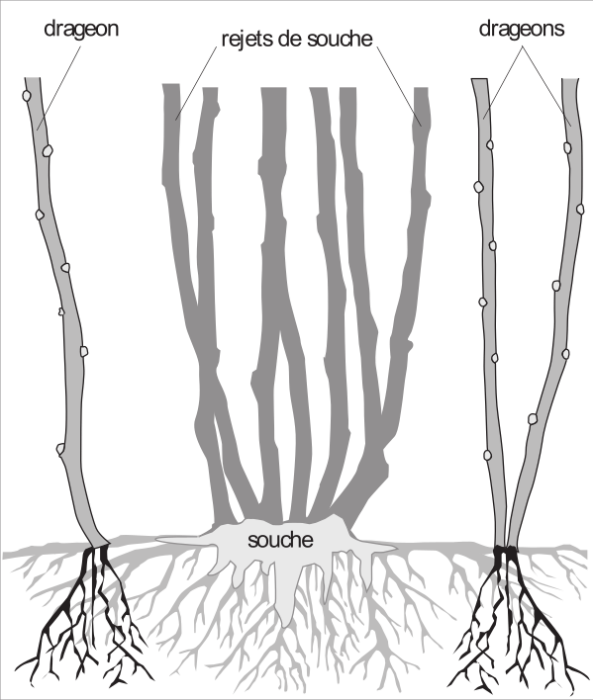 image7.png