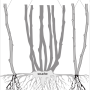 image7.png