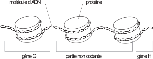 image7.png