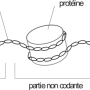 image7.png