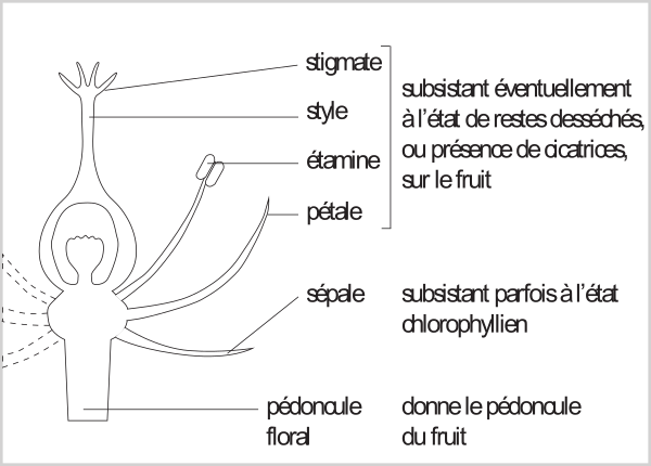 image10.png