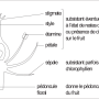 image10.png