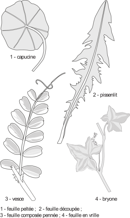 image4.png