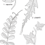 image4.png