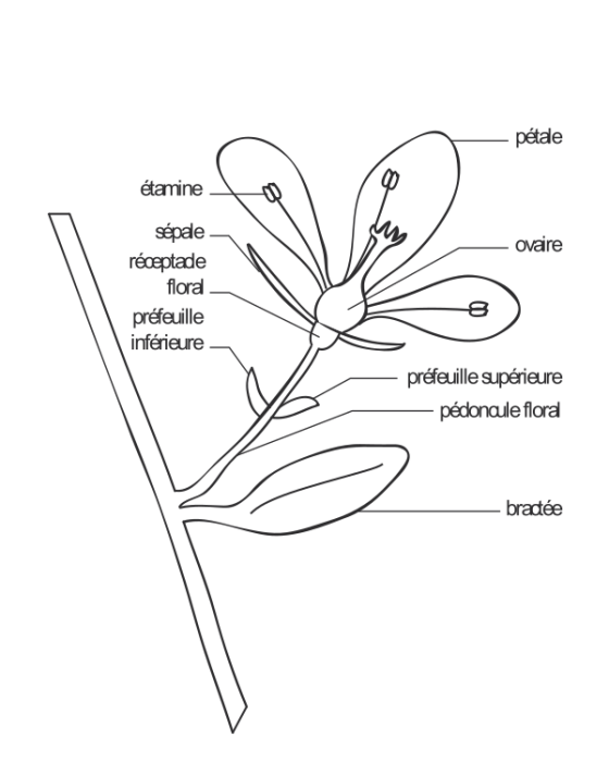 image5.png