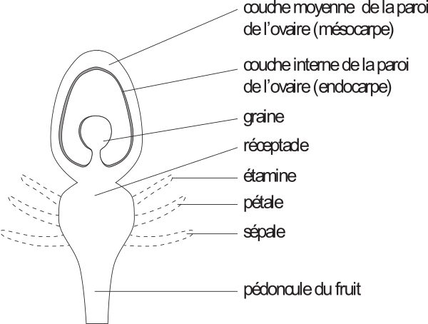 image9.png