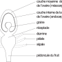 image9.png