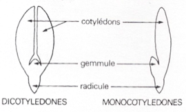 image10.png