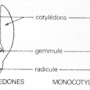 image10.png