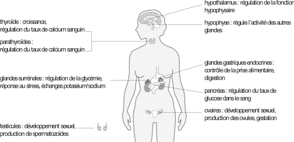 image5.png