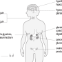 image5.png