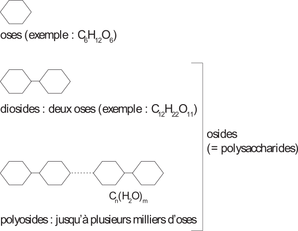 image6.png