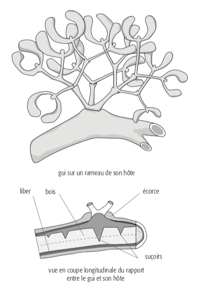image1.png