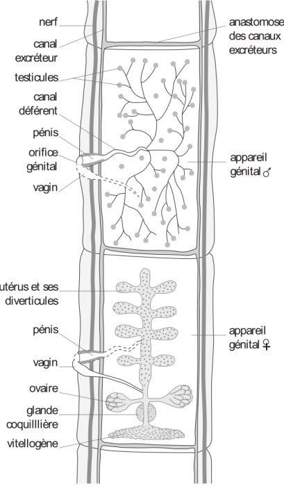 image2.png
