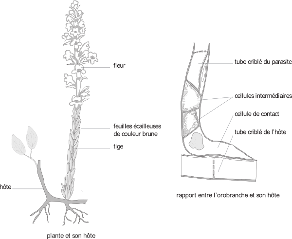 image3.png