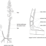 image3.png
